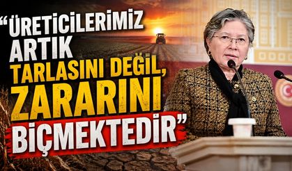 "Üreticilerimiz artık tarlasını değil, zararını biçmektedir”
