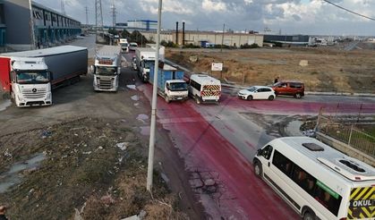 TIR'dan dökülen boya yolu kırmızıya boyadı