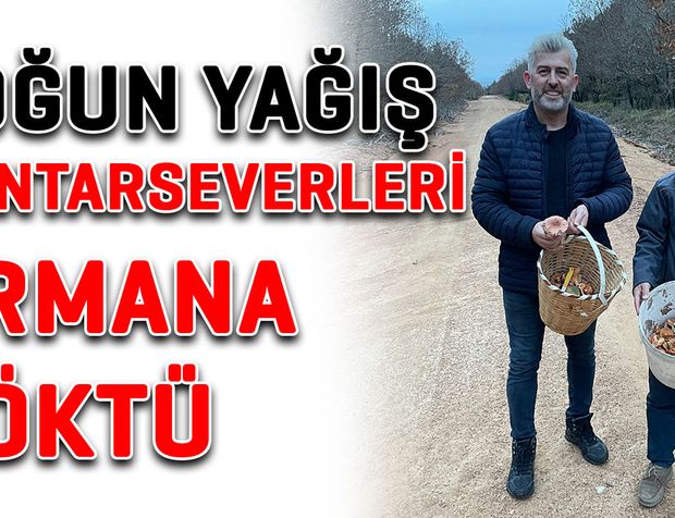 Yoğun yağış mantarsevenleri ormana döktü