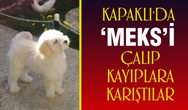 Meks’i çalıp kayıplara karıştılar