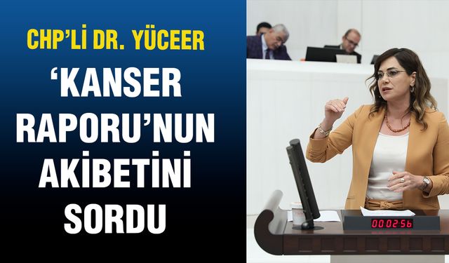 Dr. Yüceer, 'Kanser Raporu'nun akibetini sordu