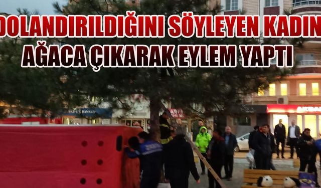 Mağdur edildiğini iddia eden kadın ağaca çıkarak eylem gerçekleştirdi