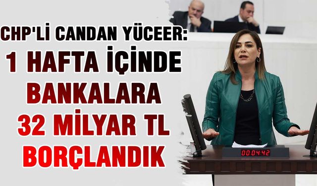 CHP'li Candan Yüceer: 1 hafta içinde bankalara 32 milyar TL borçlandık