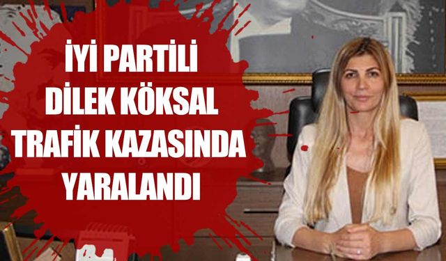 Dilek Köksal trafik kazasında yaralandı