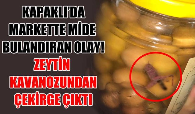 Kapaklı'da zeytin kavanozunun içinden çıkan çekirge mide bulandırdı