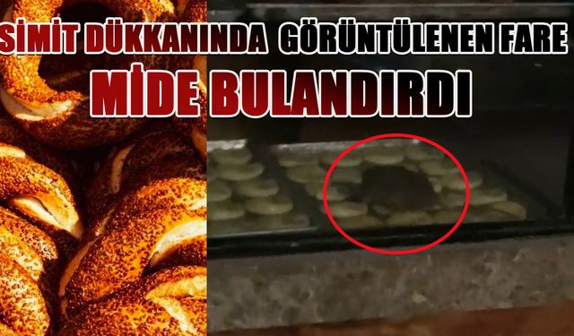 Simit dükkanında görüntülenen fare mide bulandırdı