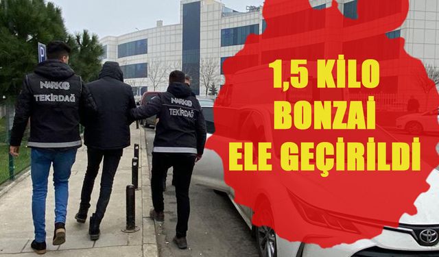 Uyuşturucu operasyonunda 1,5 kilo bonzai ele geçirildi