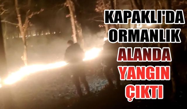 Kapaklı'da ormanlık alanda yangın çıktı