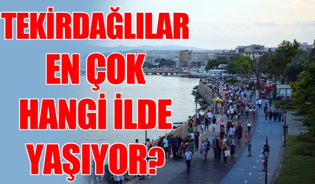 Tekirdağlılar en çok hangi illerde yaşıyor?