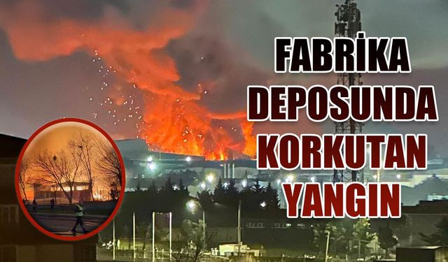 Kozmetik fabrikası deposunda korkutan yangın