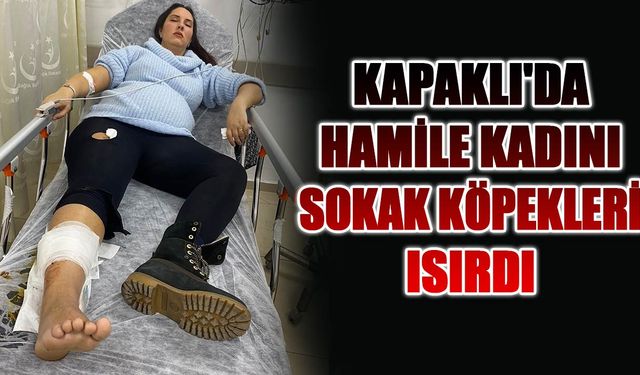 Kapaklı'da hamile kadını sokak köpekleri ısırdı