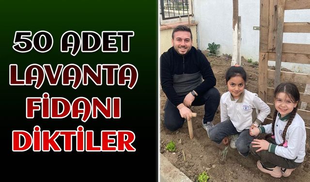 50 adet lavanta fidanını toprak ile buluşturdular