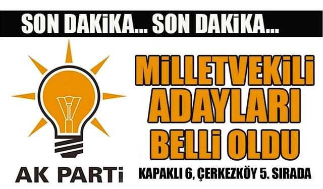 AK Parti'nin milletvekili adayları belli oldu