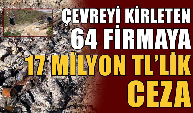 Çevreyi kirleten 64 firmaya 17 milyon TL’lik ceza