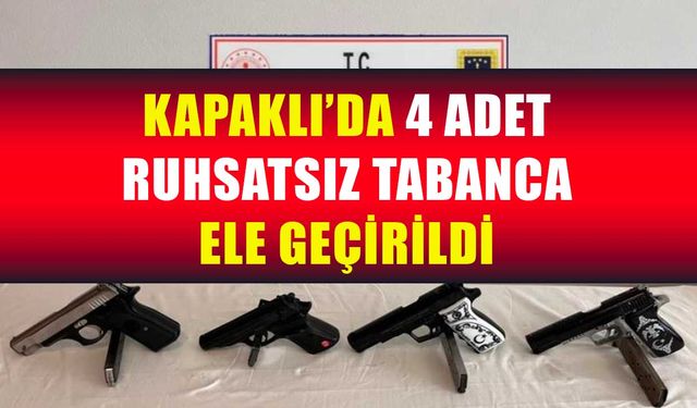 Kapaklı'da silah kaçakçılığı operasyonunda 1 kişi gözaltına alındı