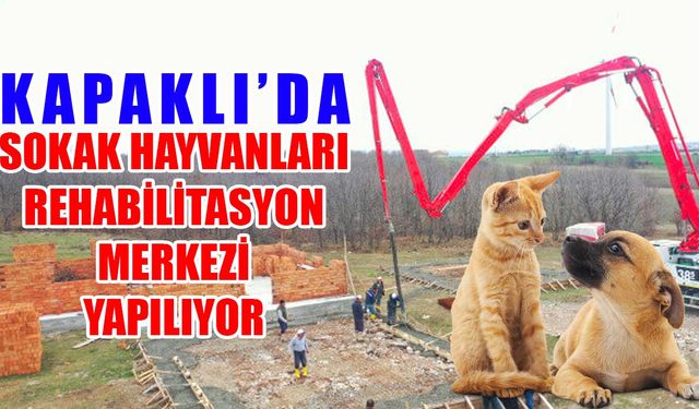 Kapaklı'da Sokak Hayvanları Rehabilitasyon Merkezi yapılıyor