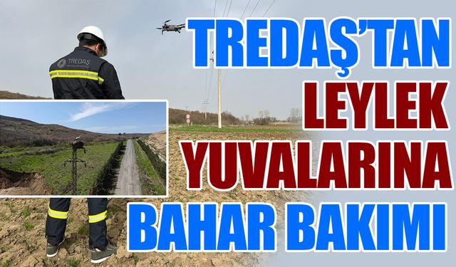 TREDAŞ’tan leylek yuvalarına bahar bakımı