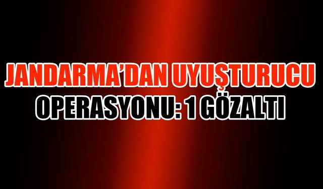 Kapaklı'da Jandarma'dan uyuşturucu operasyonu: 1 gözaltı