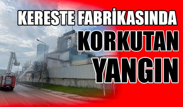 Kereste fabrikasında korkutan yangın