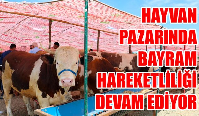 Kurban pazarında bayram hareketliliği sürüyor