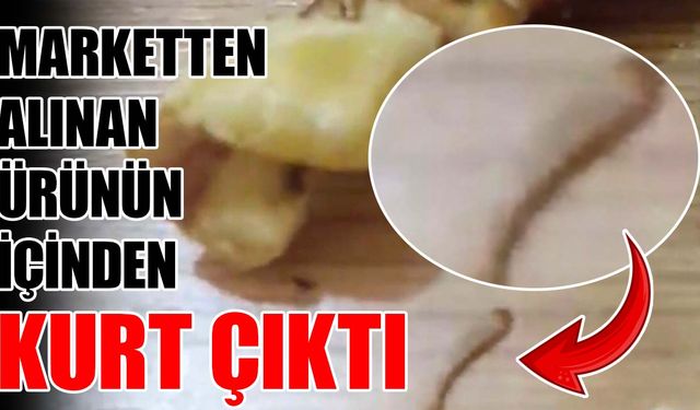 Marketten alınan ürünün içinden kurt çıktı