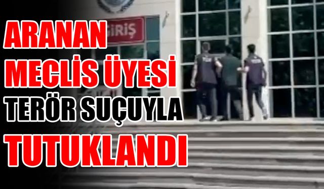 Aranan meclis üyesi terör suçuyla tutuklandı