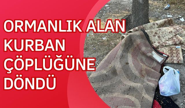 Ormanlık alan kurban çöplüğüne döndü