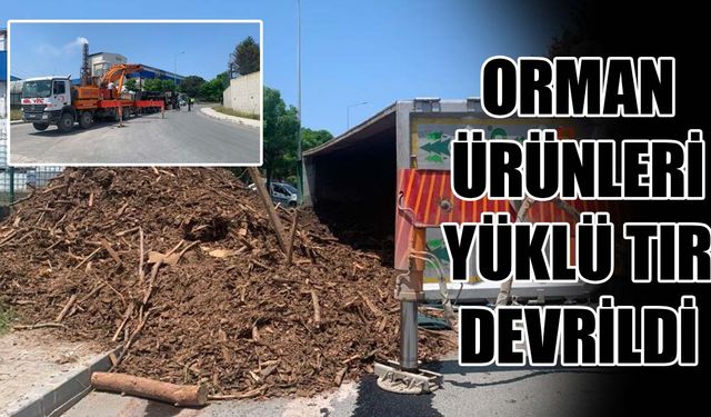 Orman ürünleri yüklü bir tır devrildi