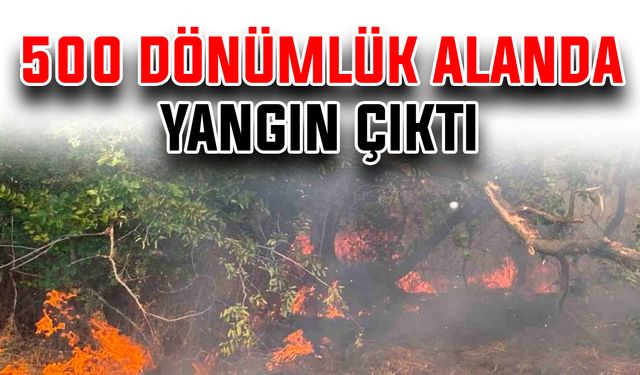 500 dönümlük alanda yangın çıktı