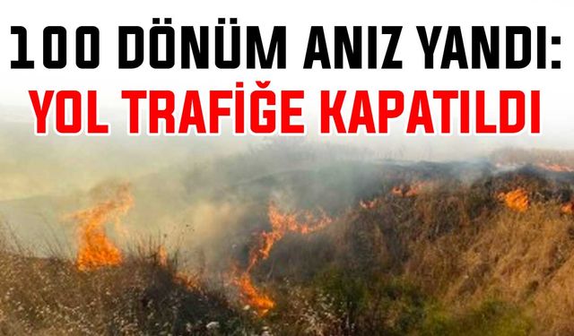 100 dönüm anız yandı: Yol trafiğe kapatıldı