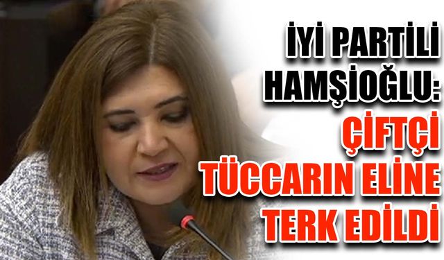 İYİ Partili Hamşioğlu: Çiftçi, tüccarın eline terk edildi