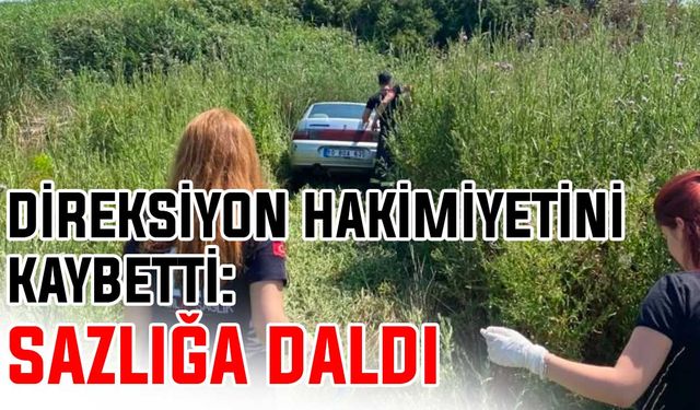 Direksiyon hakimiyetini kaybetti: Sazlığa daldı