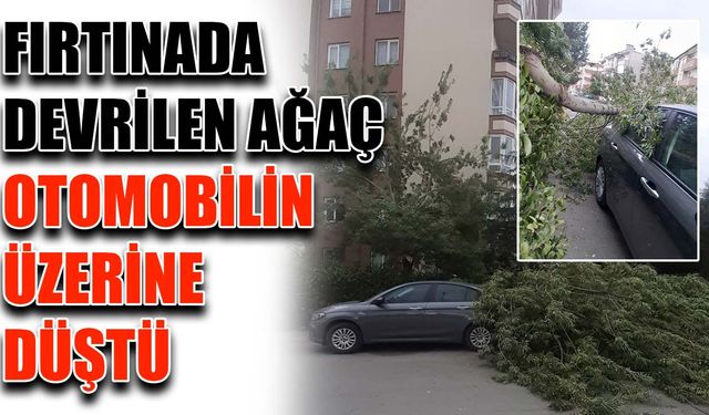 Fırtınada devrilen ağaç otomobilin üzerinde düştü