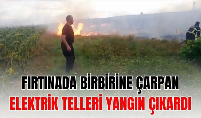 Fırtınada birbirine çarpan elektrik telleri yangın çıkardı