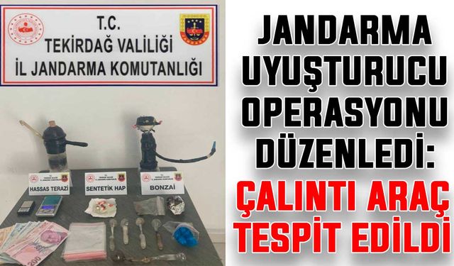 Jandarma uyuşturucu operasyonu düzenledi