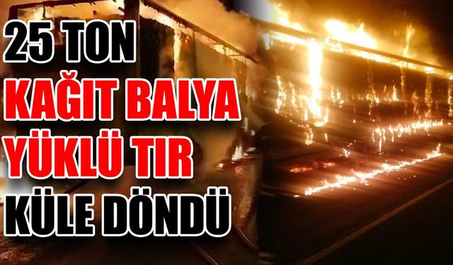 25 ton kağıt balya yüklü tır küle döndü