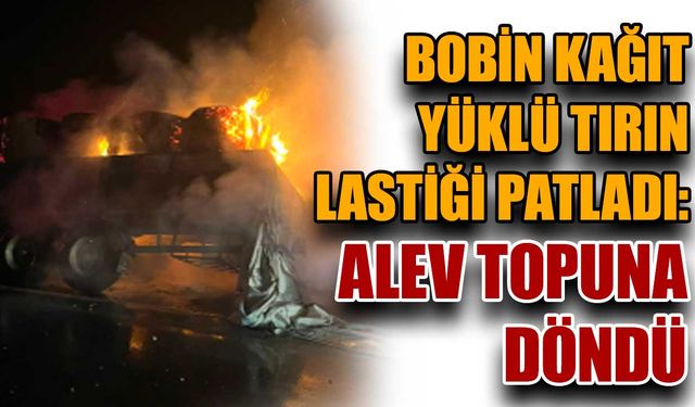 Bobin kağıt yüklü tırın lastiği patladı: Alev topuna döndü