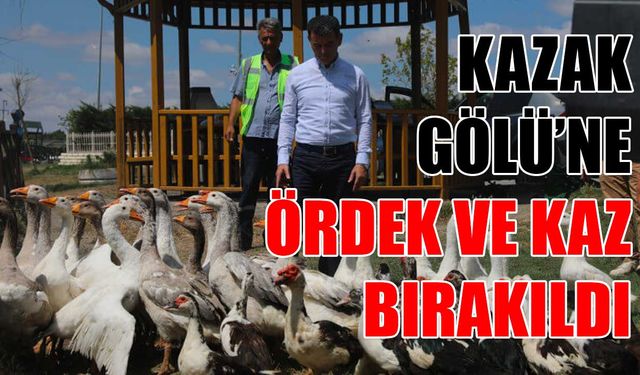 Kazak Gölü’ne ördek ve kaz bırakıldı