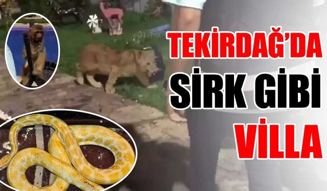 Tekirdağ’da sirk gibi villa