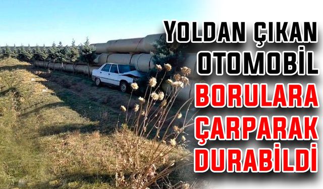 Yoldan çıkan otomobil borulara çarparak durabildi