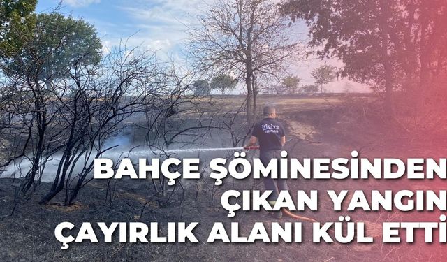 Bahçe şöminesinden çıkan yangın çayırlık alanı kül etti