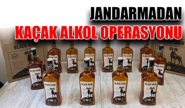 Jandarmadan kaçak alkol operasyonu