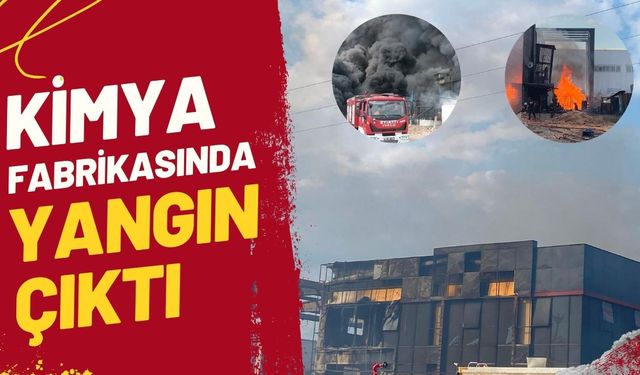 Kimya fabrikasında yangın çıktı