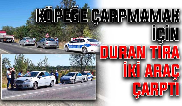 Köpeğe çarpmamak için duran tıra iki araç çarptı