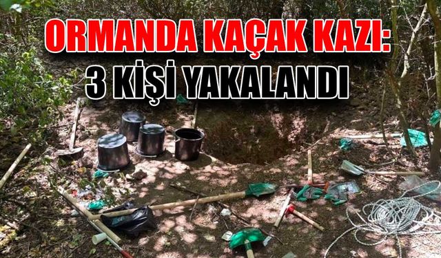 Ormanda kaçak kazı: 3 kişi yakalandı