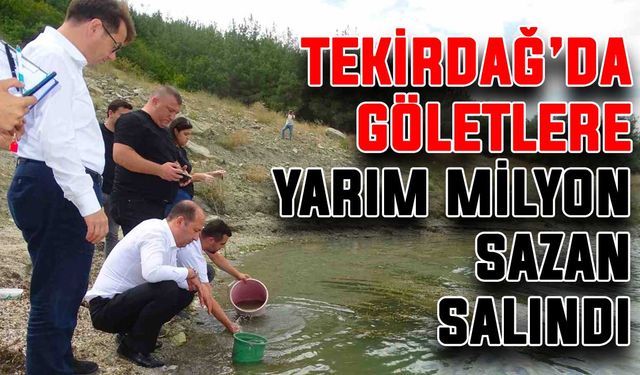 Tekirdağ’da göletlere yarım milyon sazan salındı