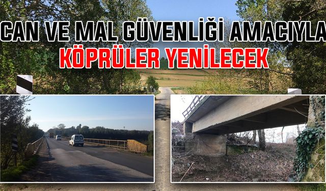 Can ve mal güveliği amacıyla köprüler yenilecek