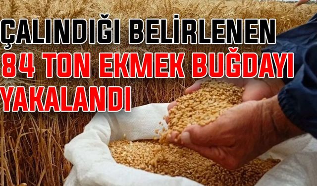 Çalındığı belirlenen 84 ton ekmek buğdayı yakalandı