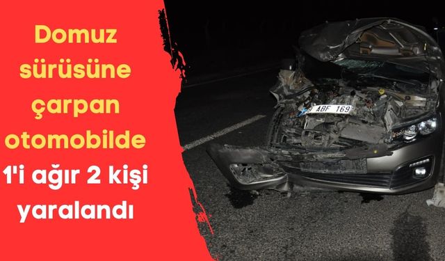 Domuz sürüsüne çarpan otomobilde 1'i ağır 2 kişi yaralandı