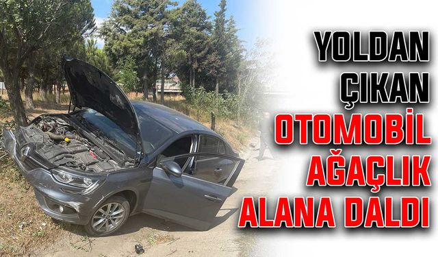 Yoldan çıkan otomobil ağaçlık alana daldı